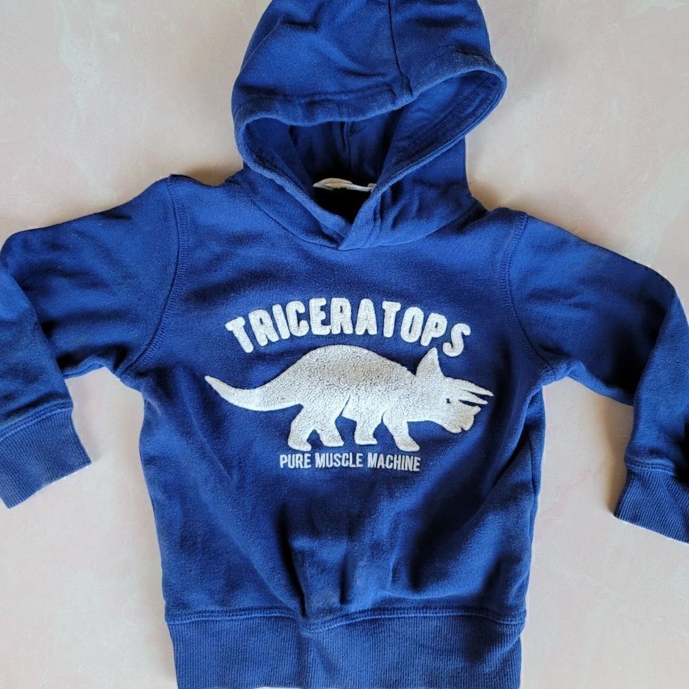 H&M 1.5-2t boys triceratops dinosaur royal blue hoodie swearshirt pure muscle ma